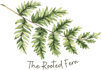 The Rooted Fern